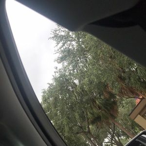 Meet your Posher, Roderick